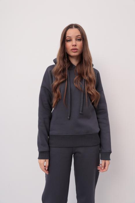 Hoodie standard fleece graphite